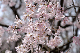 image0174
