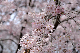 image0175
