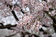 image0176