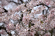 image0177