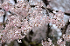 image0178