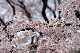 image0179