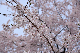 image0180