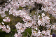 image0182