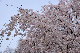 image0189