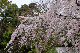 image0190