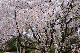 image0191