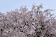 image0192