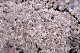 image0193