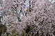 image0195