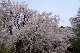 image0196
