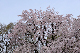 image0197