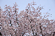 image0199