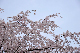 image0200