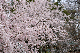 image0202