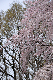 image0203
