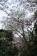 image0206