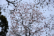 image0209
