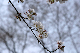 image0211