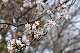 image0213