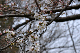 image0214