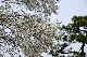 image0215