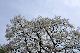 image0218