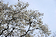 image0220
