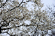 image0221