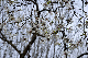 image0222