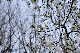 image0223