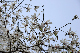 image0224