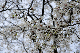 image0226