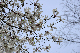 image0227