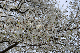 image0229