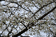 image0230