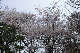image0231