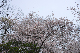 image0232