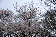 image0233