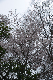 image0234