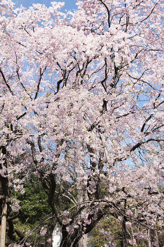 image0107