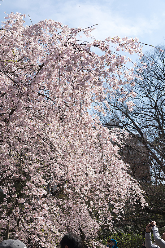 image0173