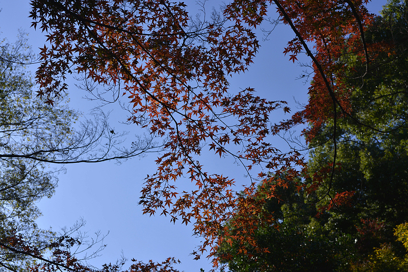 image0111