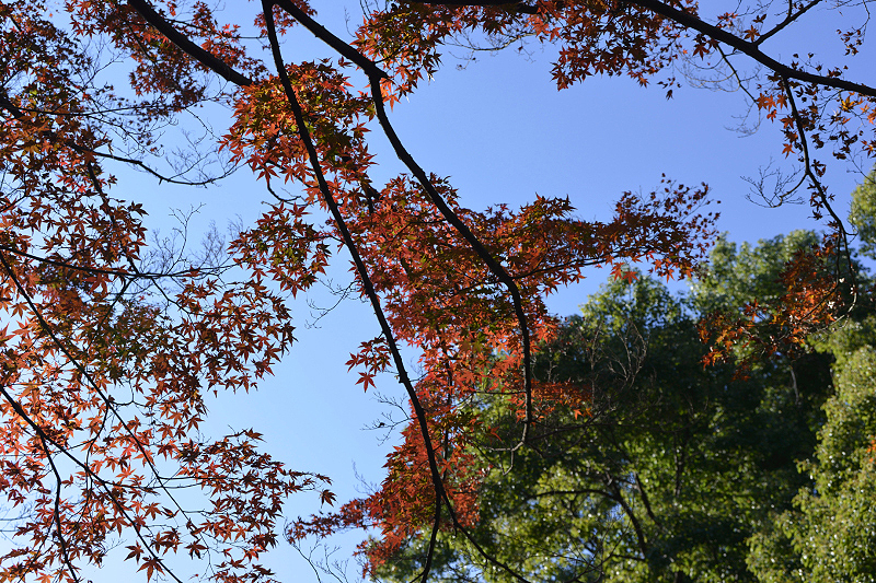 image0112