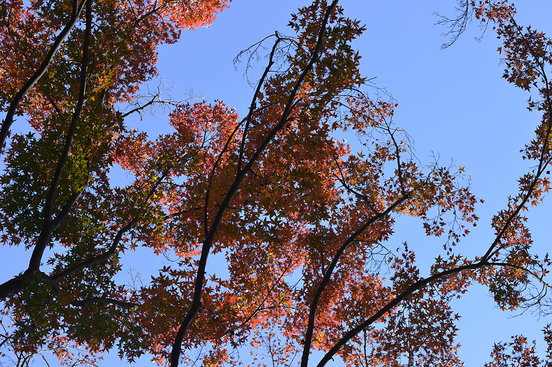 image0114