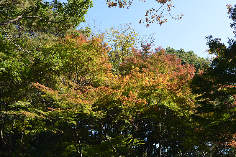 image0124