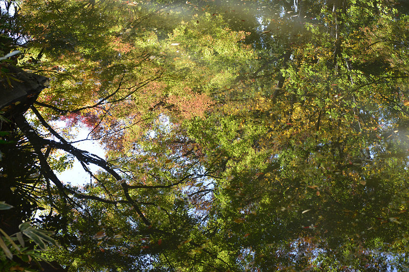 image0129