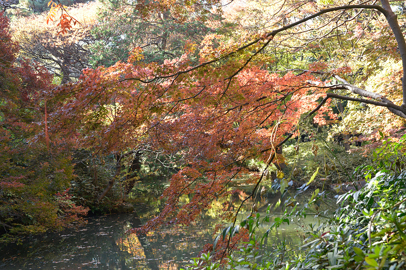 image0144
