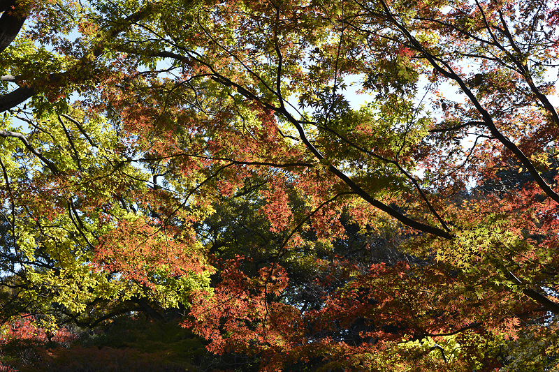 image0161