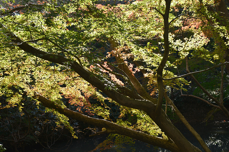image0181